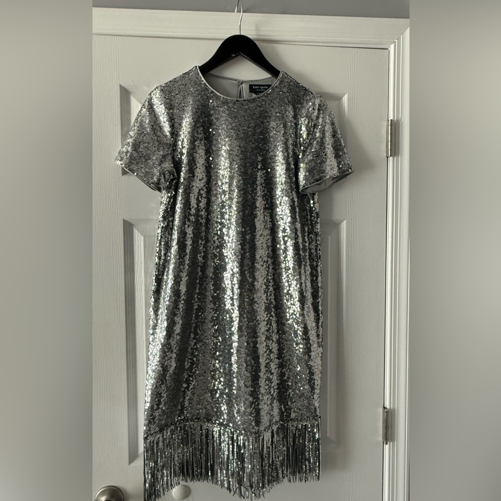 Silver Sequin Fringe Dress